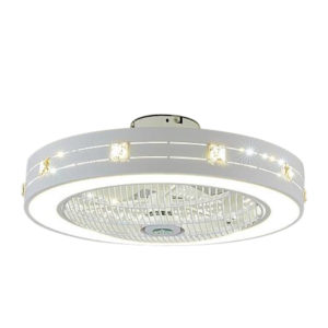 Ceiling Light with Fan