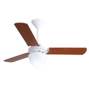 AC Ceiling Fan